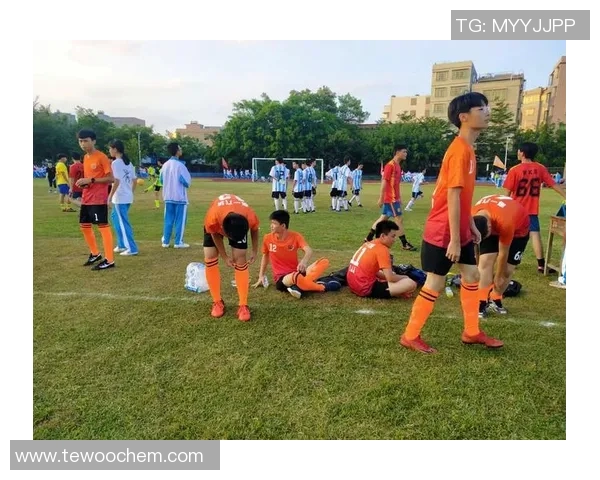 韩国足球明星李贞贤的辉煌历程与对足球的热爱之路