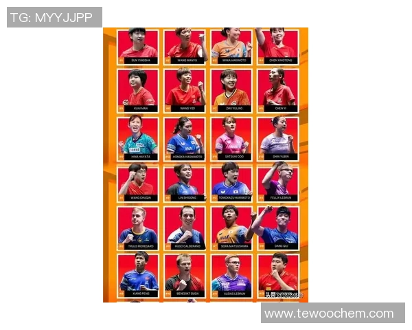 香港足球明星首发阵容最新更新引发球迷热议与期待