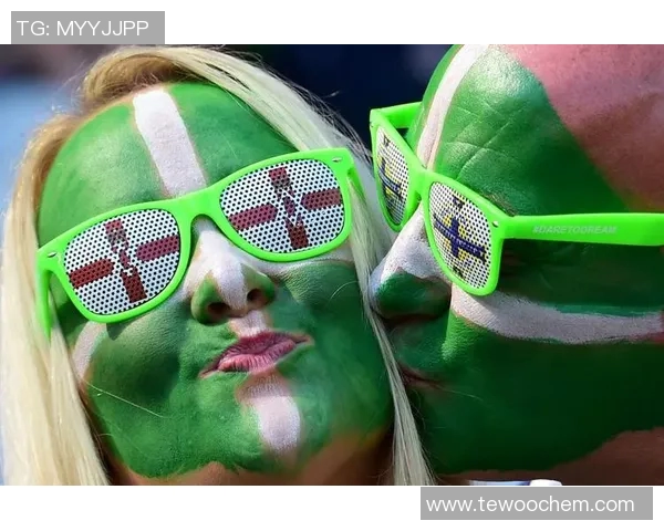 北爱尔兰与荷兰激战在即球迷期待精彩对决与历史交锋