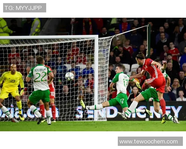 威尔士与爱尔兰足球对决深度分析及战术解析