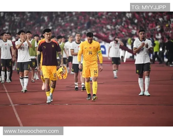 国足世界杯精彩瞬间视频集锦回顾激情时刻与荣耀梦想