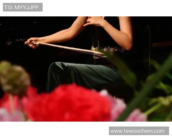 女性足球教练的崛起与挑战：打破传统界限的新时代探索